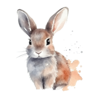 Watercolor little rabbit isolated on transparent background. png