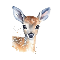 Watercolor little deer isolated on transparent background. png