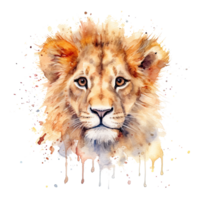 Watercolor little lion isolated on transparent background. png