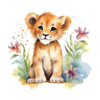 Watercolor little lion isolated on transparent background. png