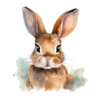 Watercolor little rabbit isolated on transparent background. png