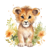 Watercolor little lion isolated on transparent background. png