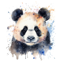 Watercolor little panda isolated on transparent background. png