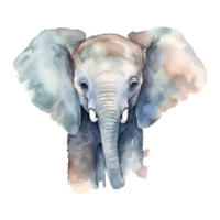 Watercolor little elephant isolated on transparent background. png