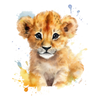 Watercolor little lion isolated on transparent background. png