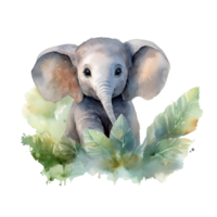 Watercolor little elephant isolated on transparent background. png