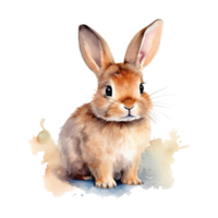 Watercolor little rabbit isolated on transparent background. png
