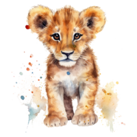 Watercolor little lion isolated on transparent background. png