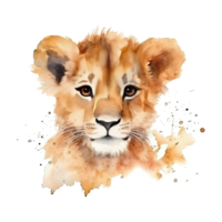 Watercolor little lion isolated on transparent background. png