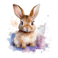 Watercolor little rabbit isolated on transparent background. png