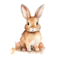 Watercolor little rabbit isolated on transparent background. png