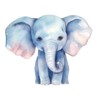 Watercolor little elephant isolated on transparent background. png