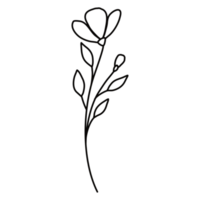 Line art floral png