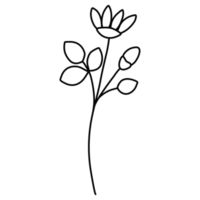 Strichzeichnungen Blumen png