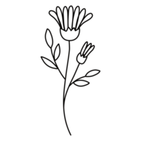 lijntekeningen bloemen png