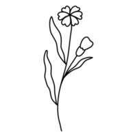 Strichzeichnungen Blumen png