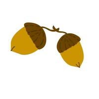 Hand drawn Acorn  isolated on white background for your web and mobile app design. Vector illustration