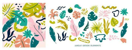 Abstract Jungle design elements. A variety of tropical leaves. Flat vector illustration. Template for the design of social networks or product design