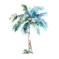 Colorful Watercolor Coconut tree sublimation for t shirt design. png