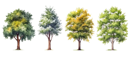 un' collezione di trasparente acquerello alberi. generativo ai png