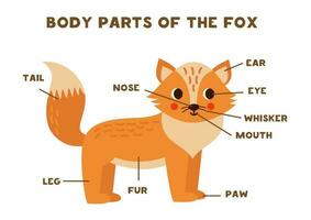 Body parts of the cute fox. Scheme for children. vector
