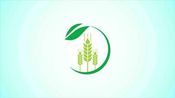 tarwe icoon en logo. landbouw icoon video animatie