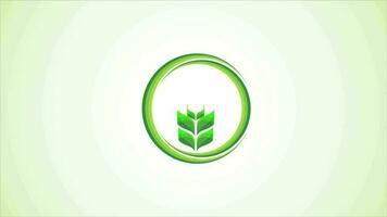 trigo icono y logo. agricultura icono vídeo animación video