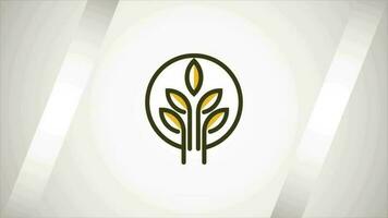 blé icône et logo. agriculture icône vidéo animation video