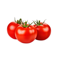 A group of tomatoes isolated on transparent background. png