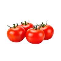 A group of tomatoes isolated on transparent background. png