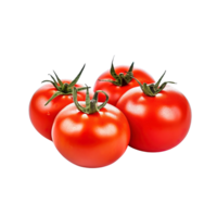 ein Gruppe von Tomaten isoliert auf transparent Hintergrund. ai generiert png