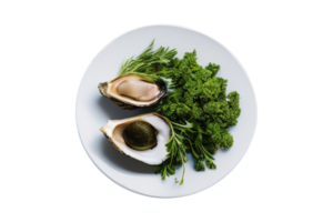 Fresh natural oysters and herbs on transparent background png