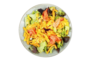 Diet salad with salted salmon isolated on transparent background png