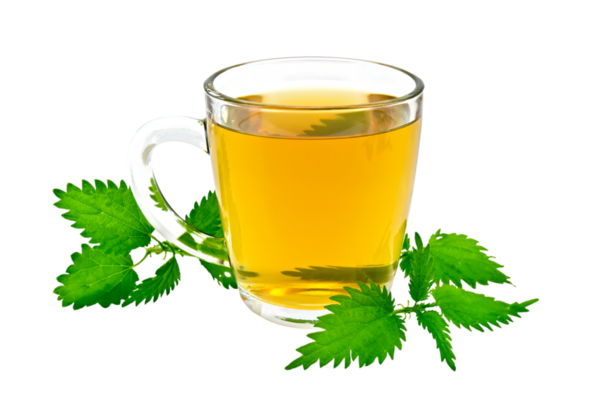 Green Tea PNGs for Free Download