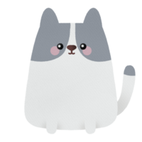 söt knubbig katt png