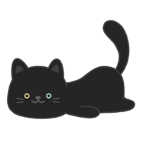 Lazy cute cat png