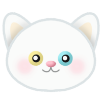 White odd eyed cat png