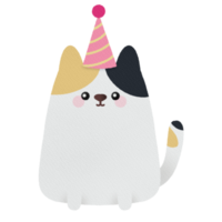 Cute chubby calico cat with party hat png