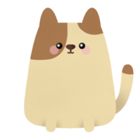 Cute chubby cat png