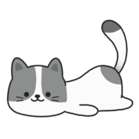 Lazy cute cat png