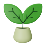 3d icon plant isolated on transparent background png