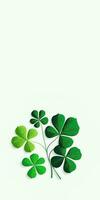 Green Clover Plant On White Background And Copy Space. St. Patrick's Day Concept. photo