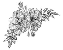 Rose Flowers vector illustration in outline style. Hand drawn floral drawing painted by black inks for greeting cards or wedding invitations. Botanical sketch in line art style. Monochrome bouquet