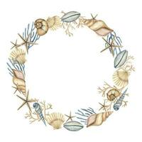 Seashell watercolor Wreath on white isolated background. Hand drawn illustration of circular Frame with sea Shells. Underwater border for icon or logo in marine style with cockleshells and starfish vector