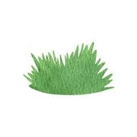 Green forest grass branch watercolor clipart. Illustration of summer greenery. vector