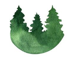 Hand drawn watercolor fir tree forest landscape clipart vector