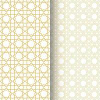 Seamless Intricate Islamic Geometric Pattern with 8 point star vector