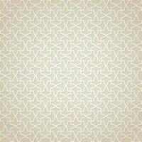 Elegant Islamic Geometric pattern Art use for print and fashion vector