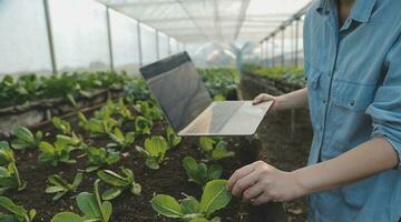 Asian woman farmer using digital tablet in vegetable garden at greenhouse, Business agriculture technology concept, quality smart farmer. photo