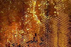 gota de goteo de miel de abeja de panales hexagonales llenos de néctar dorado foto